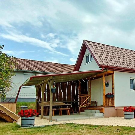 Lebego Falu Vendeghaz Oroszlany Exterior photo